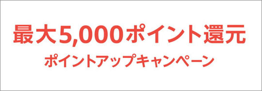 ポイントアップキャンペーン