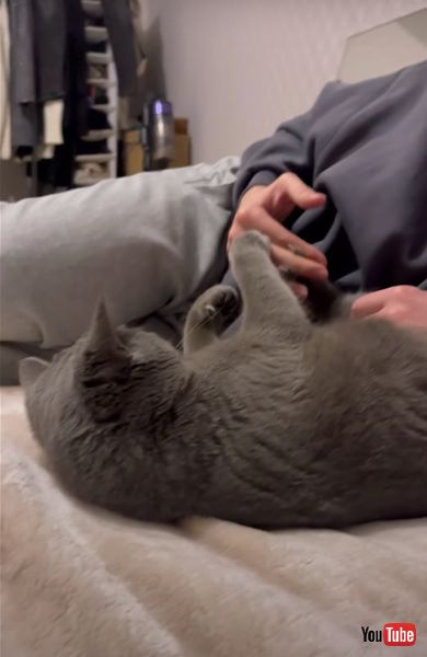 猫 肉球 足 マッサージ 口 半開き