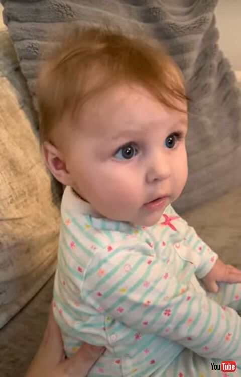 子犬 赤ちゃん ゆりかご おもちゃ 遊ぶ ビックリ リラックス