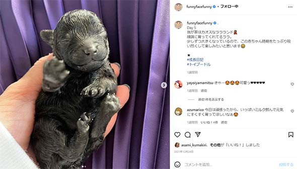 渡辺満里奈 名倉潤 愛犬 空 旅立ち