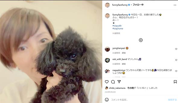 渡辺満里奈 名倉潤 愛犬 空 旅立ち