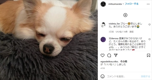 村田充 神田沙也加 愛犬 ブルーザー 引き取る  急逝 インスタ