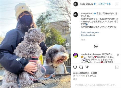 工藤静香 愛犬家 犬 フン 放置 飼い主 マナー インスタ