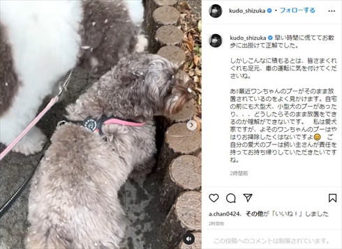工藤静香 愛犬家 犬 フン 放置 飼い主 マナー インスタ