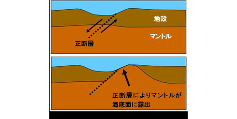 メガムリウムの概略図