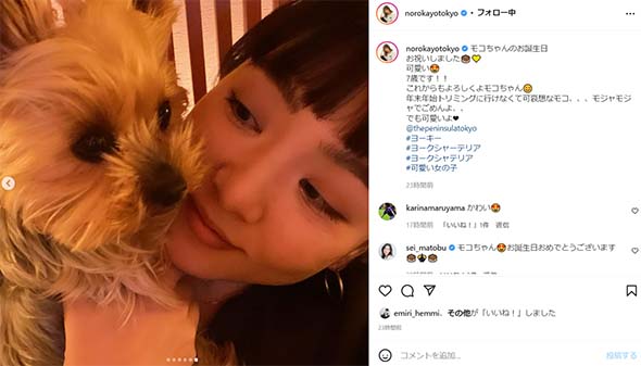 野呂佳代 愛犬 犬 誕生日 ペニンシュラ