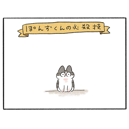 くろも ぽんず 黒猫 動き 止める 寝方 体勢