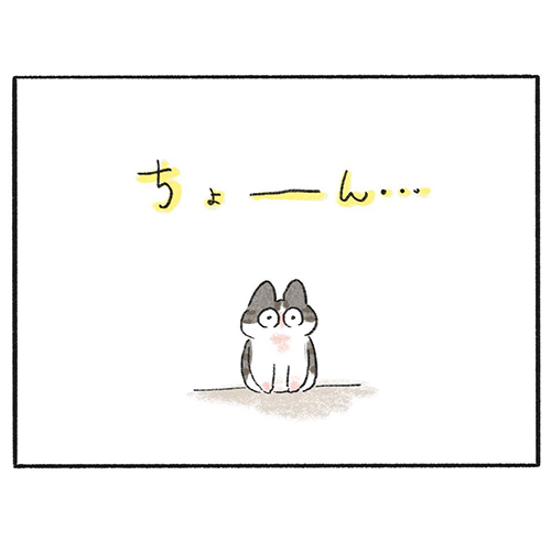 くろも ぽんず 黒猫 動き 止める 寝方 体勢