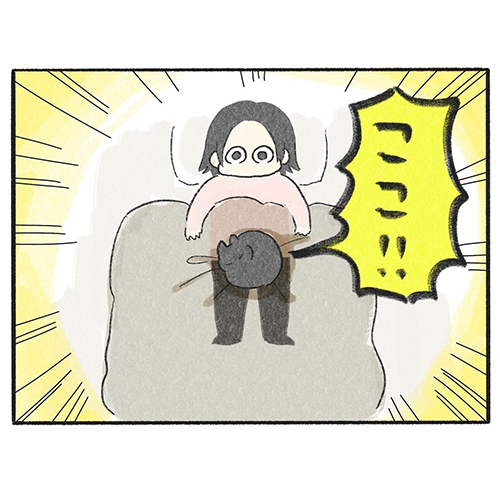 くろも ぽんず 黒猫 動き 止める 寝方 体勢