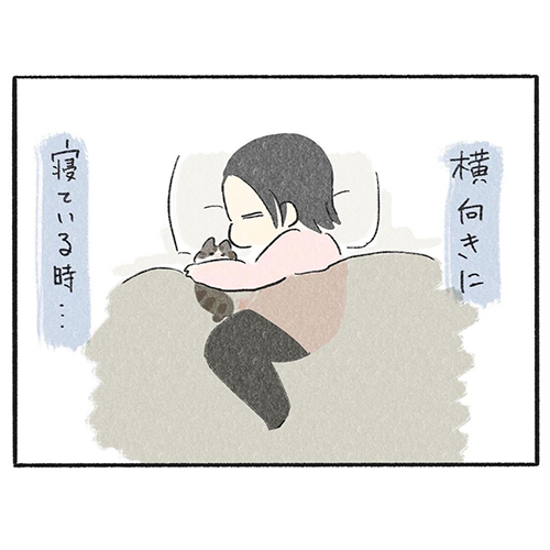 くろも ぽんず 黒猫 動き 止める 寝方 体勢