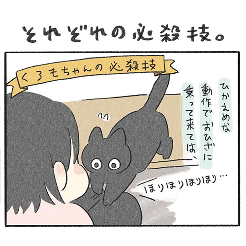 くろも ぽんず 黒猫 動き 止める 寝方 体勢