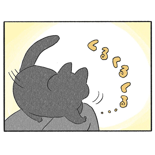 くろも ぽんず 黒猫 動き 止める 寝方 体勢