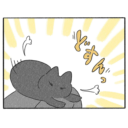 くろも ぽんず 黒猫 動き 止める 寝方 体勢