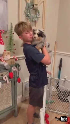 「Child Overcome with Emotion at Seeing Family's New Puppy || ViralHog」