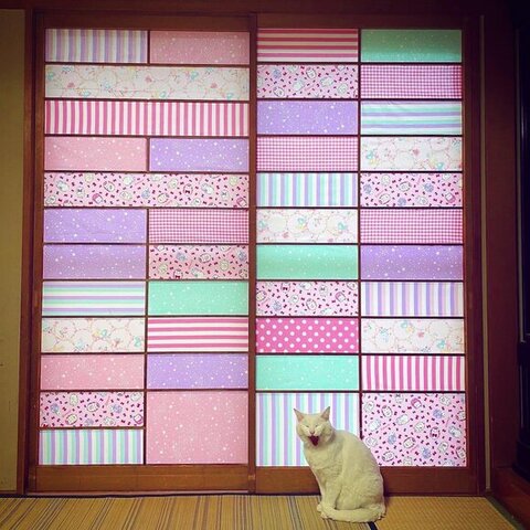 障子 白猫 えこねこ Econeco 保護猫 猫のイタズラ かわいい DIY