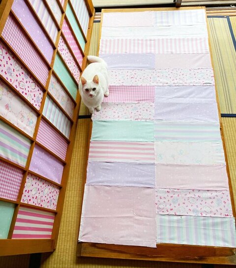 障子 白猫 えこねこ Econeco 保護猫 猫のイタズラ かわいい DIY