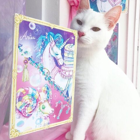 障子 白猫 えこねこ Econeco 保護猫 猫のイタズラ かわいい DIY