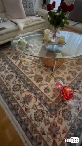 Gets Curious and Excited