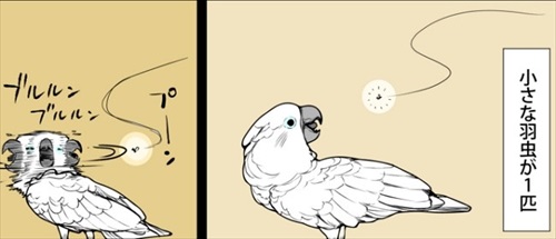 オウム 虫 小さい 動揺 驚愕 水浴び