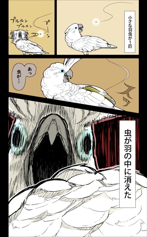 オウム 虫 小さい 動揺 驚愕 水浴び