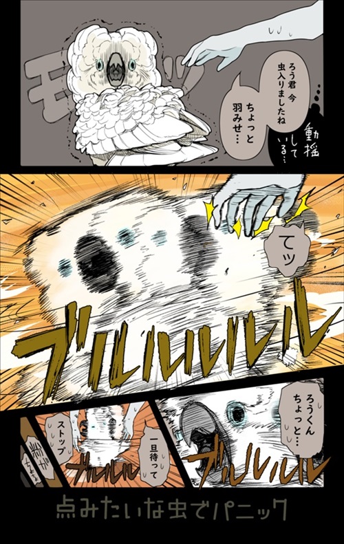 オウム 虫 小さい 動揺 驚愕 水浴び