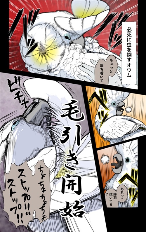 オウム 虫 小さい 動揺 驚愕 水浴び