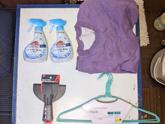 ポケモン ライコウ コスプレ 寅年