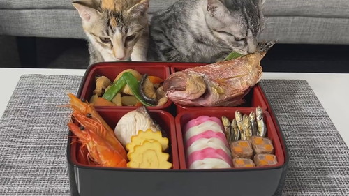 ととまる はんみ おせち