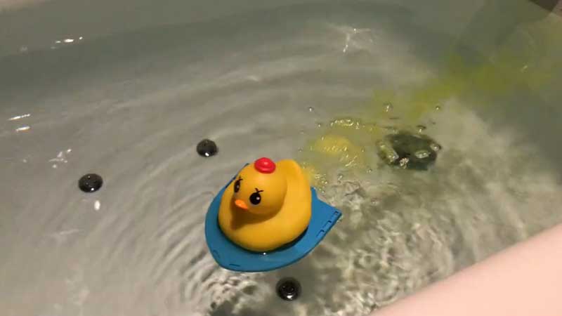 入浴剤のパワーで進むアヒルさんのお風呂グッズが話題　「発想が面白い」「子どもに買ってあげたい」
