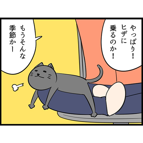 もうそんな季節3  猫漫画 無料 保護猫 布団 ネコ かわいい