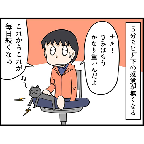 もうそんな季節4  猫漫画 無料 保護猫 布団 ネコ かわいい