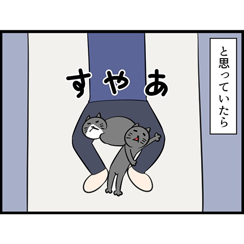 さすがに２匹はきつい3  猫漫画 無料 保護猫 布団 ネコ かわいい