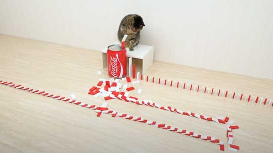 猫 メントスコーラ ドミノ ねこナビ編集部 YouTube Cats and Mentos cola Domino