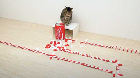 猫 メントスコーラ ドミノ ねこナビ編集部 YouTube Cats and Mentos cola Domino
