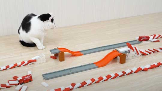 猫 メントスコーラ ドミノ ねこナビ編集部 YouTube Cats and Mentos cola Domino