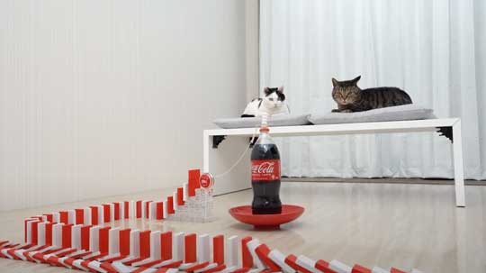 猫 メントスコーラ ドミノ ねこナビ編集部 YouTube Cats and Mentos cola Domino