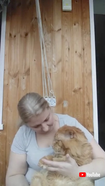 メインクーン 爪切り 猫 動画 不機嫌 表情 かわいい 海外動画 面白動画