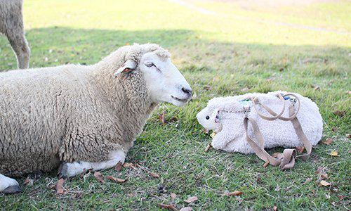 羊と羊バッグアップ ハンドメイド バッグ ふわふわ かわいい