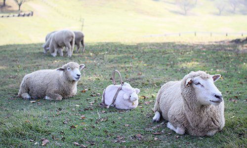 羊と羊バッグ ハンドメイド バッグ ふわふわ かわいい