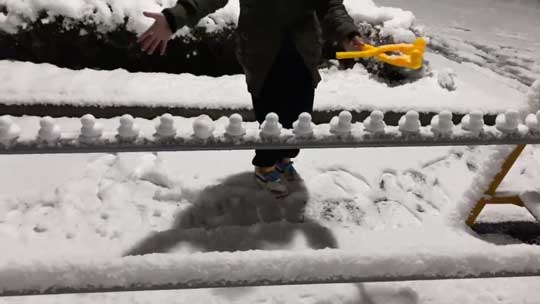 雪 ひよこ 製造業 作る 雪玉づくり
