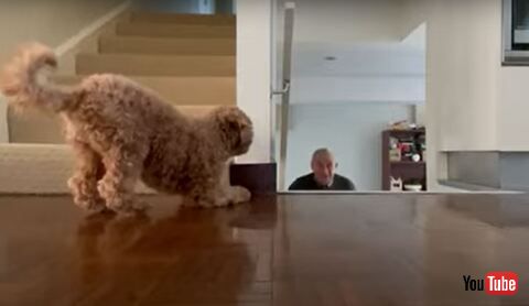 Grandpa While He Climbs