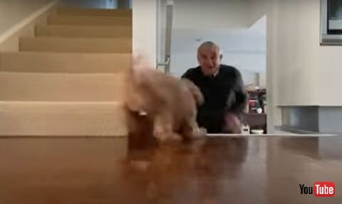 Grandpa While He Climbs