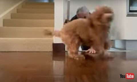 Grandpa While He Climbs