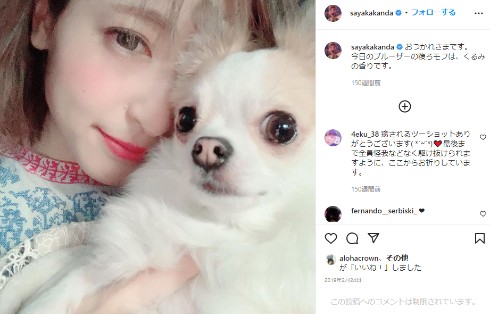 村田充 神田沙也加 愛犬 ブルーザー チワワ インスタ