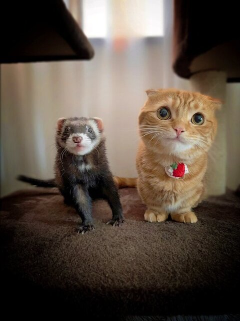 大所帯 人間 子ども 寝顔