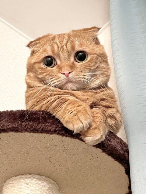 大所帯 人間 子ども 寝顔