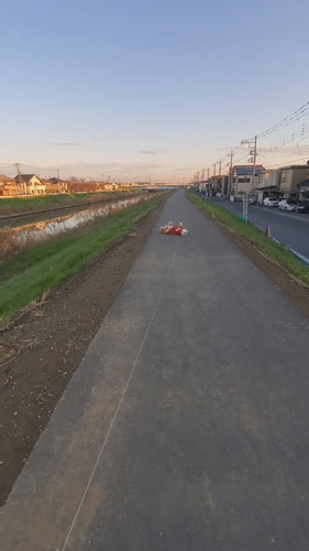 なな 柴犬 散歩 やる気 寝る気 0 100