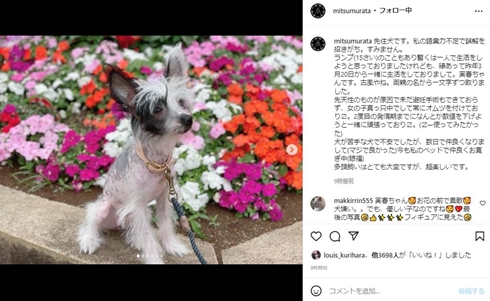 村田充 犬 ブルーザー 神田沙也加 ランプ 先住犬