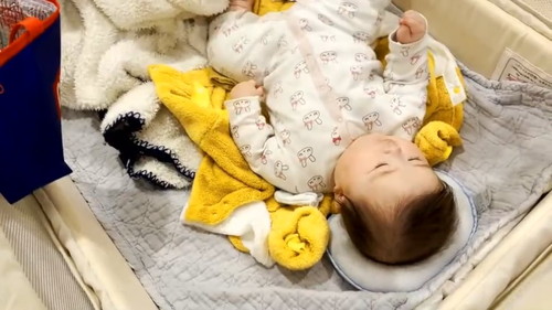 キウイくんを見て赤ちゃん笑顔 猫と赤ちゃん 動画 かわいい 幸せ しがしが 笑顔 ほっこり動画