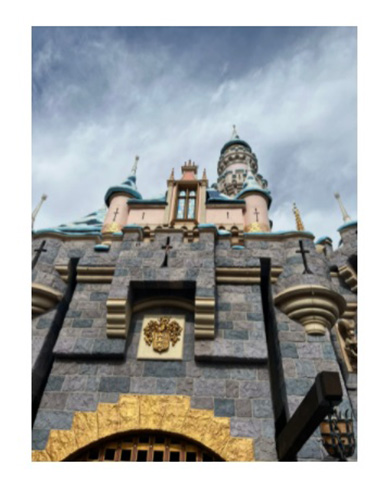 ダルビッシュ聖子 ダルビッシュ有 ディズニーランド サンディエゴ・パドレス